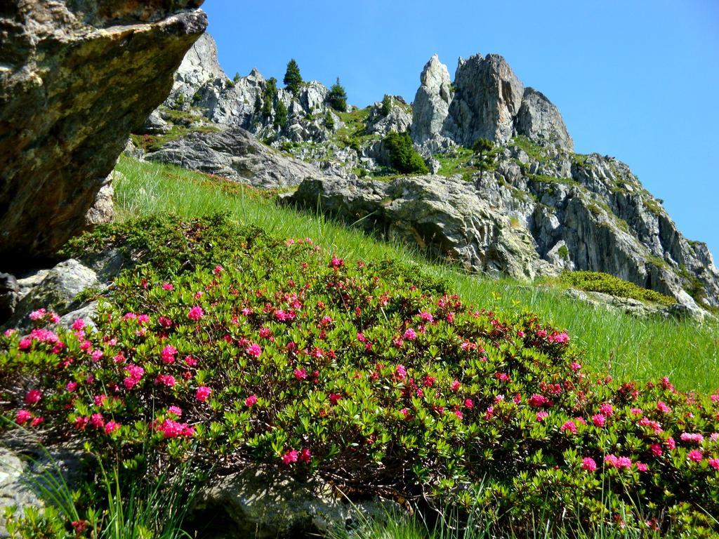 Auberge La Douce Montagne อัลมงต์ ภายนอก รูปภาพ